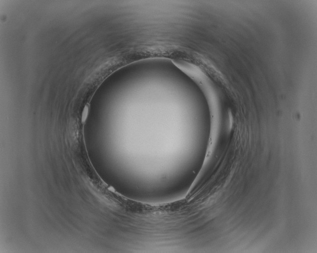 X0000063450593200601201222