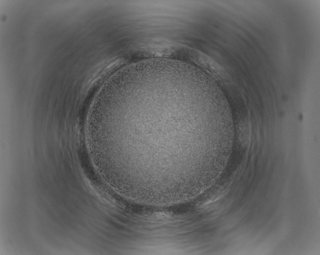 X0000063450594200601201222
