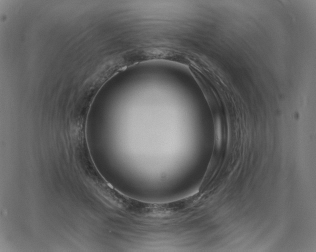 X0000063450601200601201222