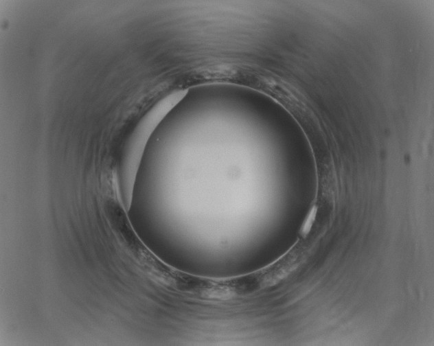 X0000063450604200601201222