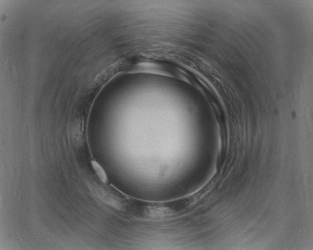 X0000063450605200601201222