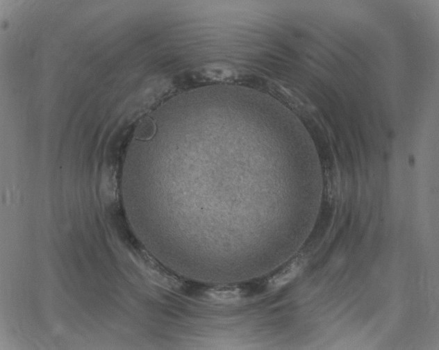 X0000063450606200601201222