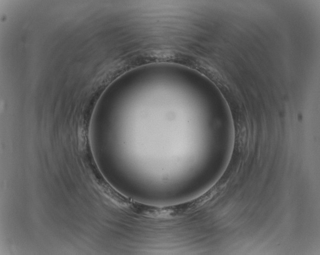 X0000063450609200601201222