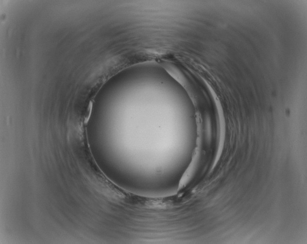X0000063450613200601201222