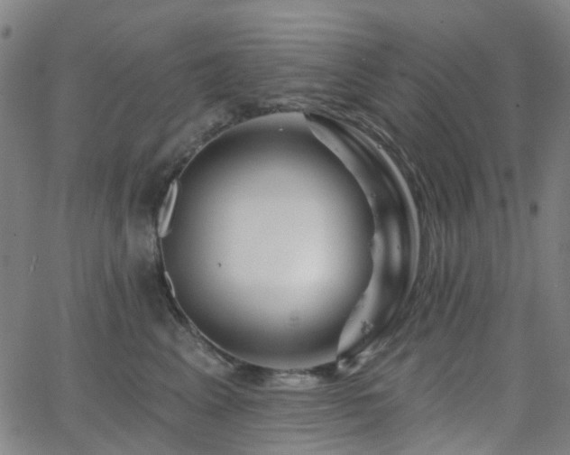 X0000063450617200601201222