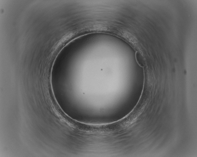 X0000063450625200601201221