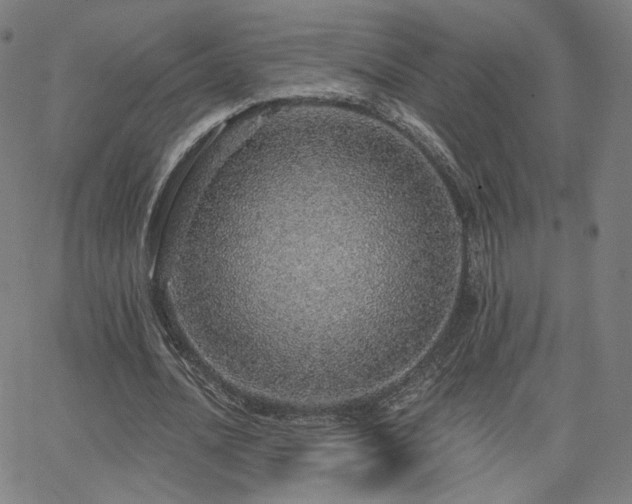 X0000063450628200601201221