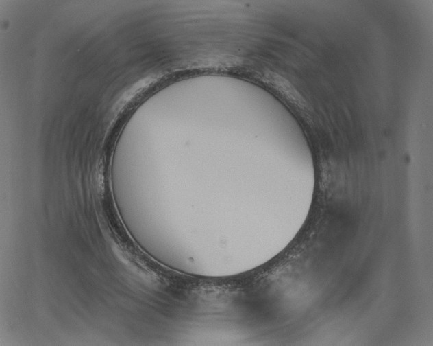X0000063450632200601201221