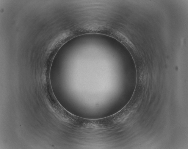 X0000063450635200601201221
