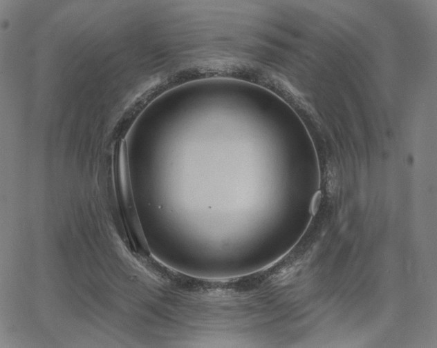 X0000063450637200601201221