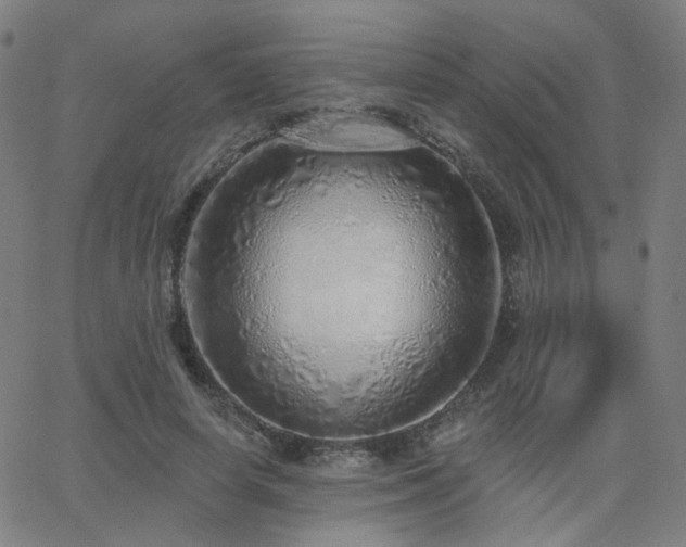 X0000063450642200601201221