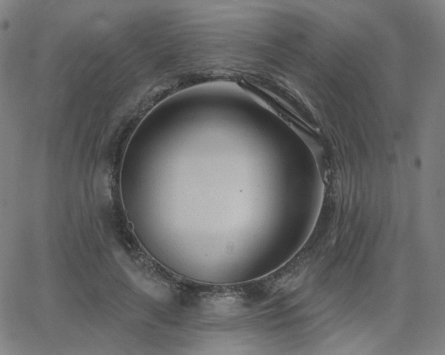 X0000063450643200601201221