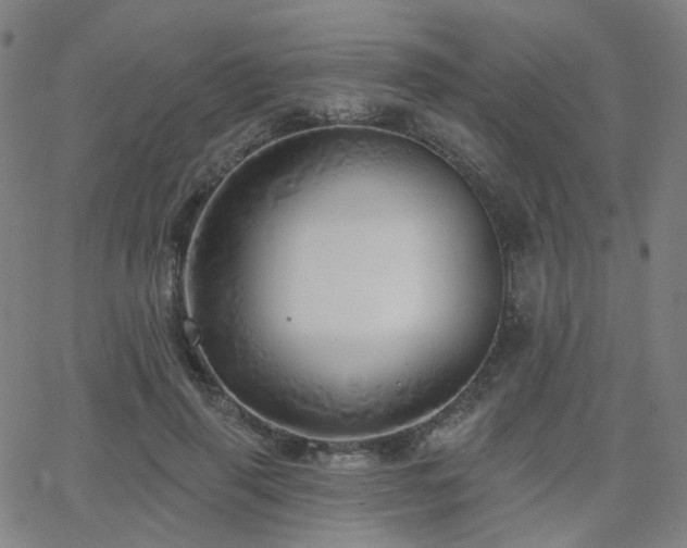 X0000063450645200601201221