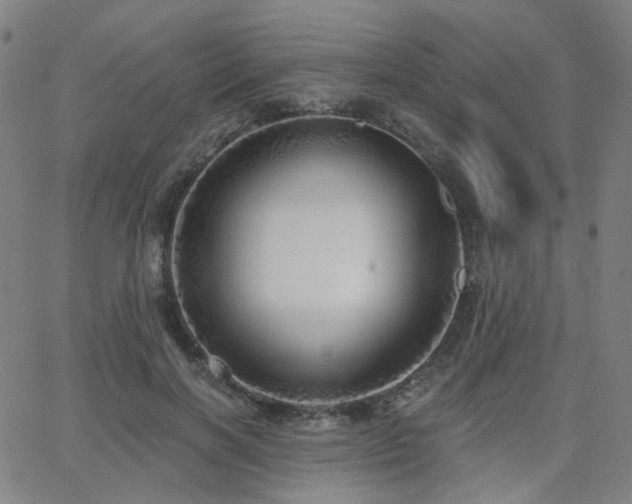 X0000063450646200601201221