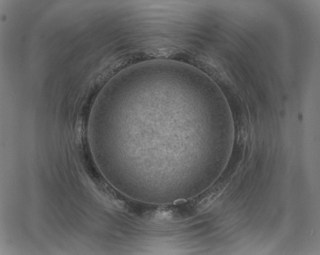 X0000063450647200601201221
