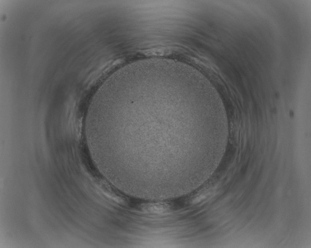 X0000063450652200601201221