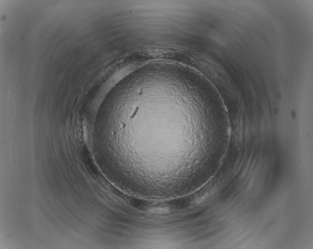 X0000063450653200601201221