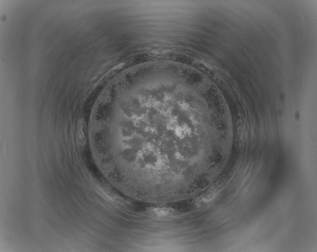 X0000063450654200601201221
