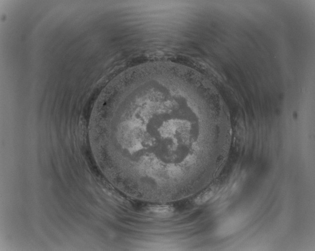 X0000063450659200601201221
