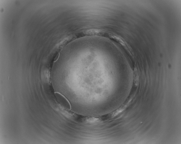 X0000063450669200601201222