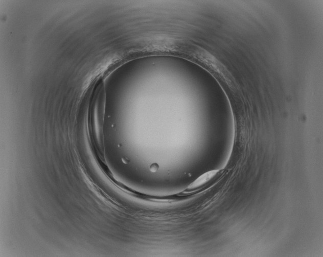 X0000063450677200601201221