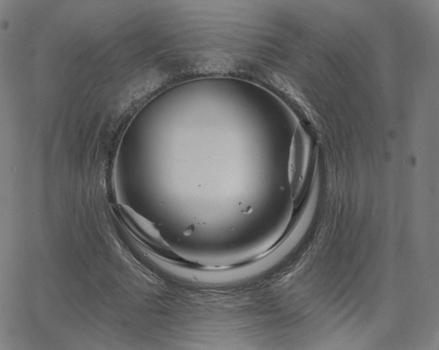 X0000063450681200601201221