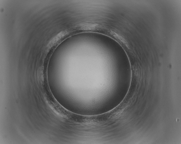 X0000063450682200601201221