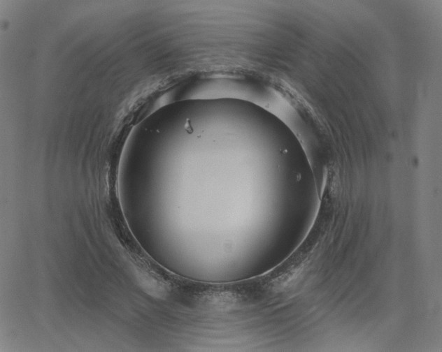 X0000063450685200601201220