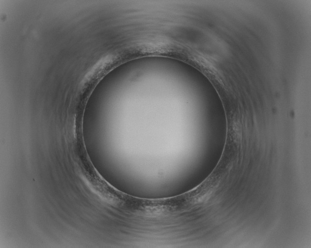 X0000063450686200601201220