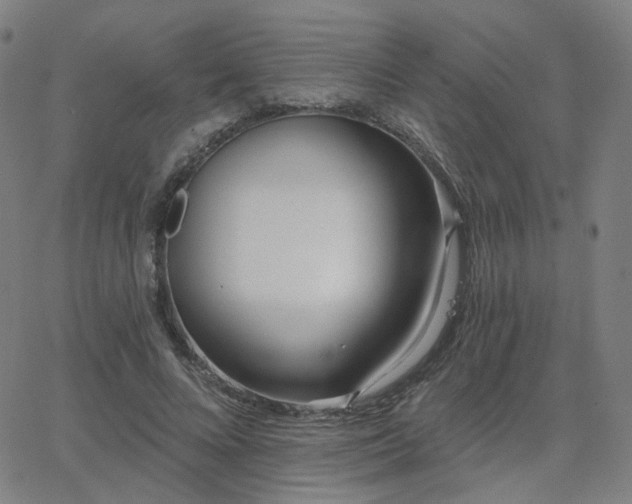 X0000063450688200601201220