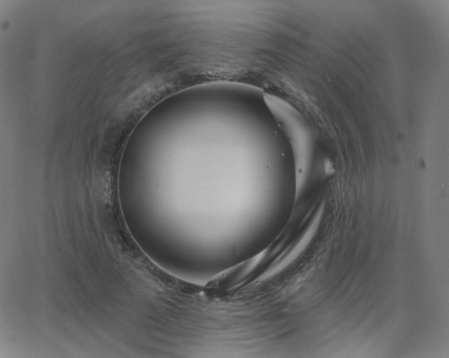 X0000063450689200601201220