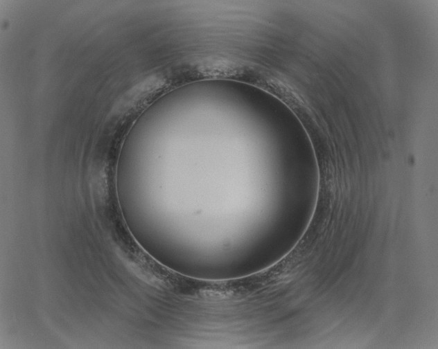 X0000063450690200601201220