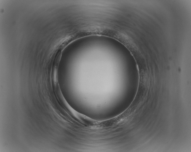 X0000063450692200601201220