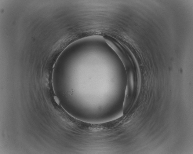 X0000063450693200601201220