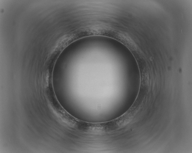 X0000063450694200601201220