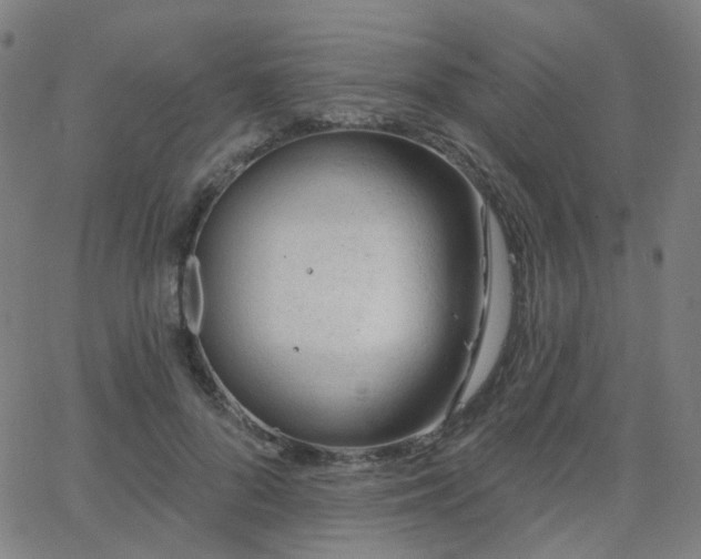 X0000063450696200601201220