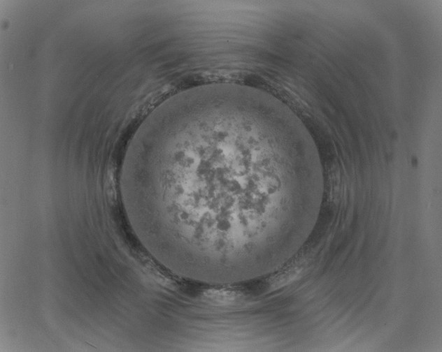 X0000063450699200601201220