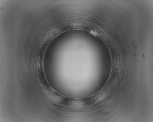 X0000063450702200601201220