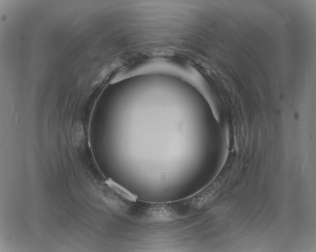 X0000063450704200601201220