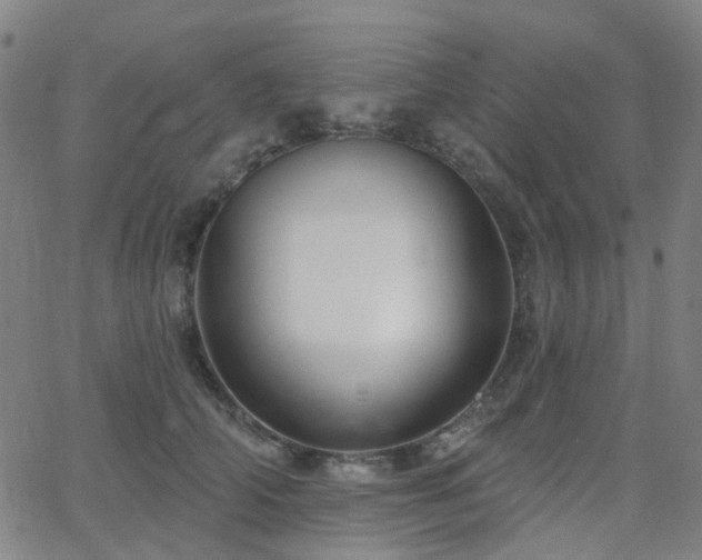 X0000063450706200601201220