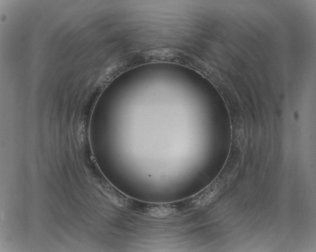 X0000063450708200601201220