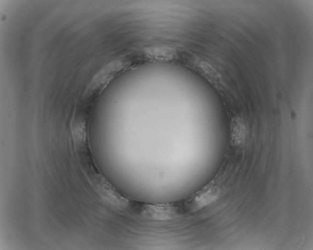 X0000063450713200601201220