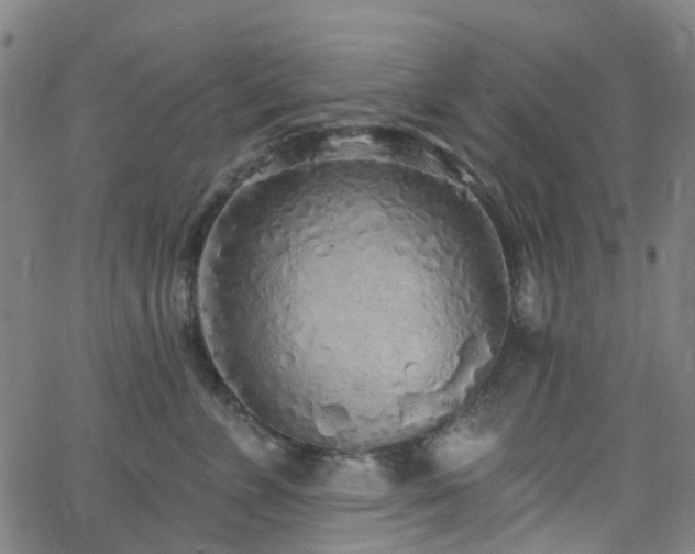 X0000063450715200601201220