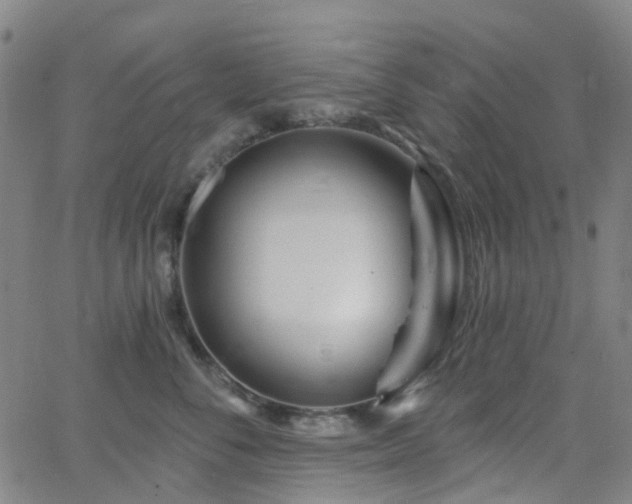 X0000063450716200601201220