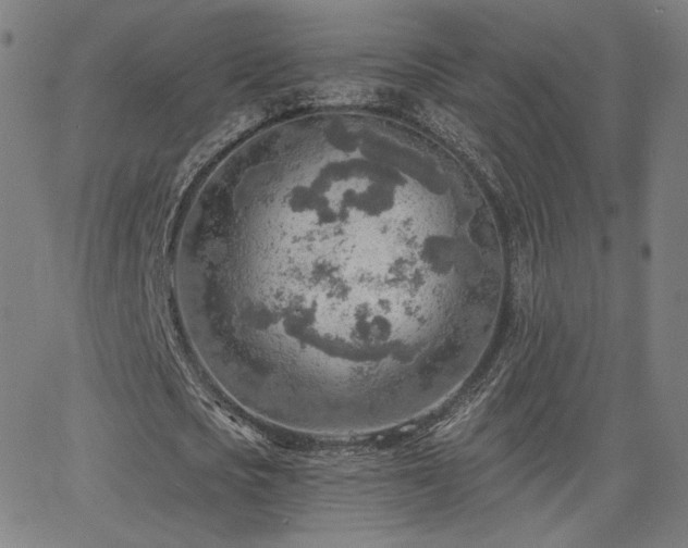 X0000063450721200601201219