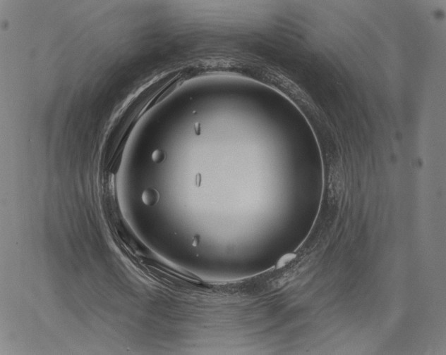 X0000063450722200601201219