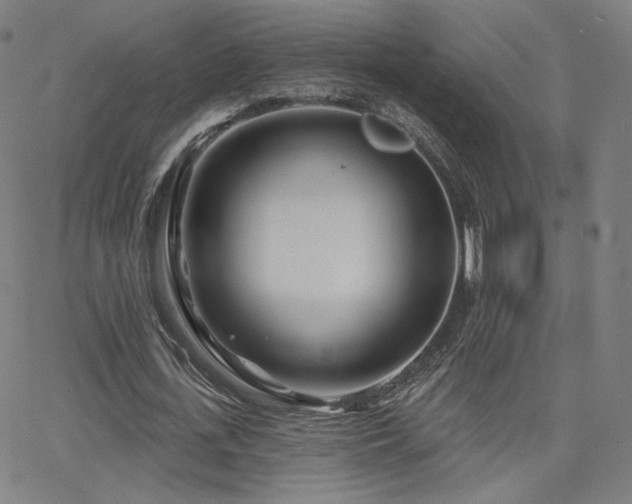 X0000063450723200601201219
