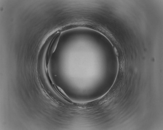X0000063450724200601201219