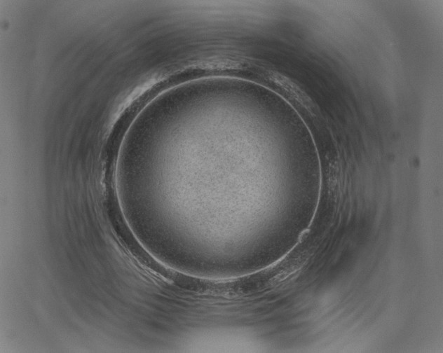 X0000063450727200601201219