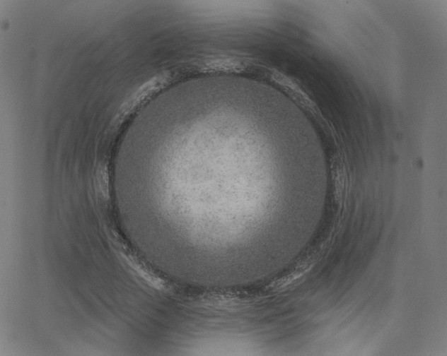X0000063450729200601201219